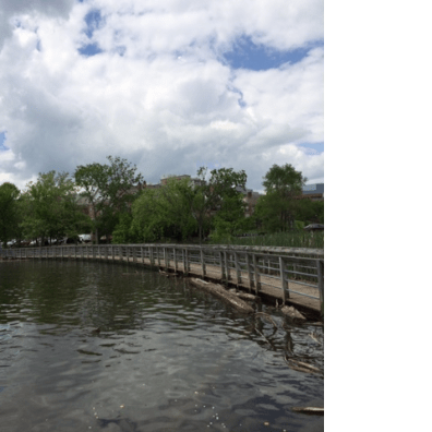 The Journey of an immigrant- Part&nbsp;II